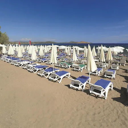 Petunya 4* Ортакент