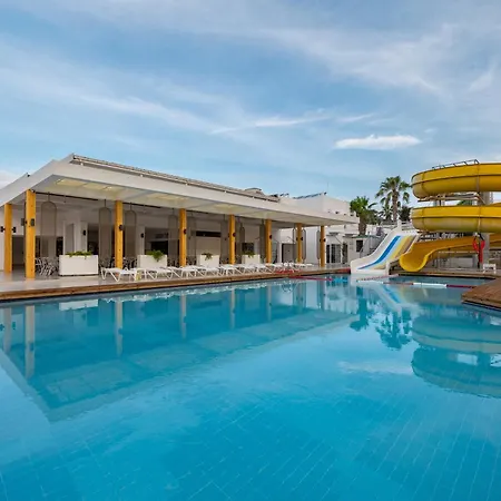 リゾート Petunya