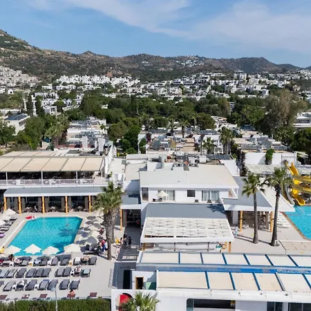 リゾート Petunya