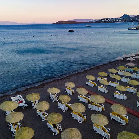 Petunya リゾート