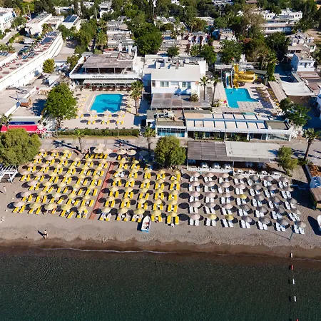 リゾート Petunya オータキャンツ