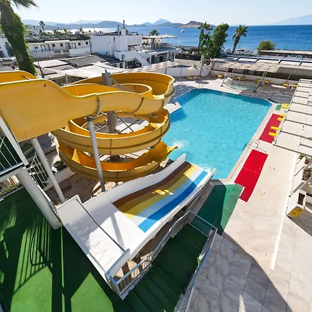 Petunya オータキャンツ