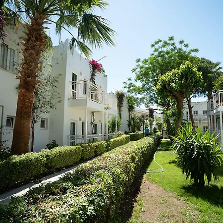 Petunya リゾート オータキャンツ