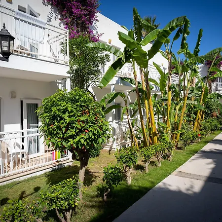 リゾート Petunya 4*