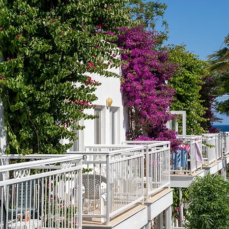 リゾート Petunya オータキャンツ