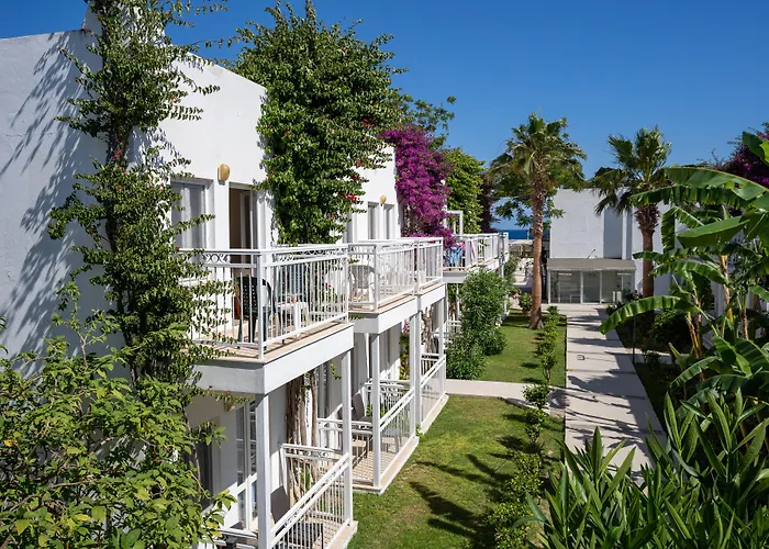 Petunya Resort Ortakent