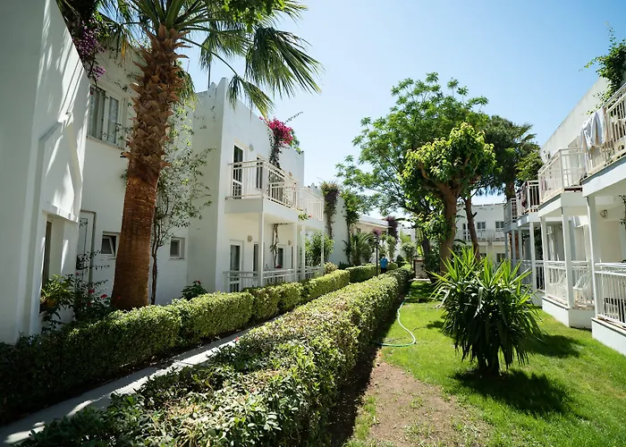 Petunya Resort Ortakent